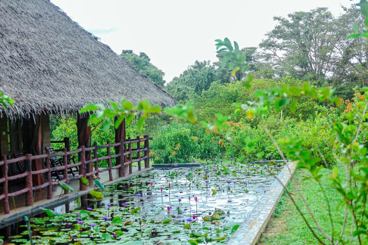 Sigiriya Water Cottage מראה חיצוני תמונה