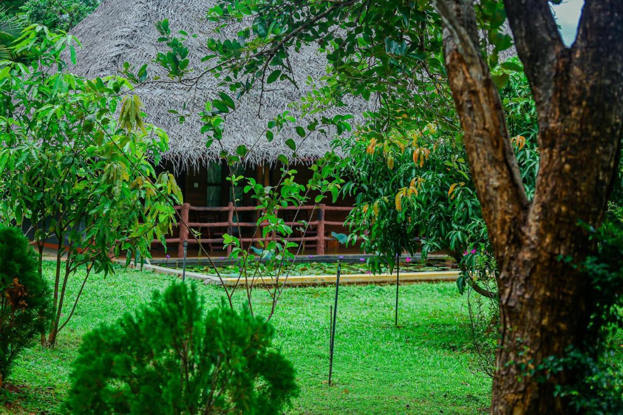 Sigiriya Water Cottage מראה חיצוני תמונה