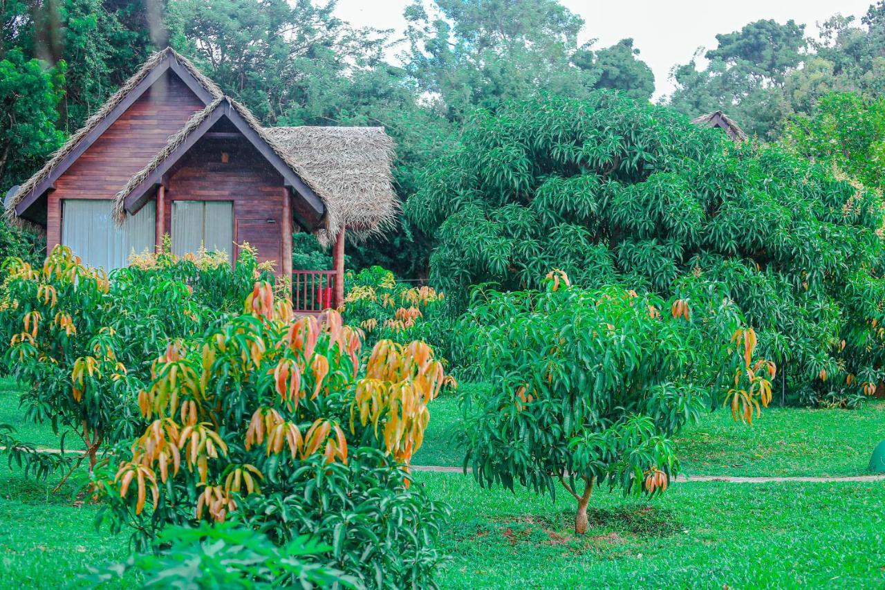 Sigiriya Water Cottage מראה חיצוני תמונה