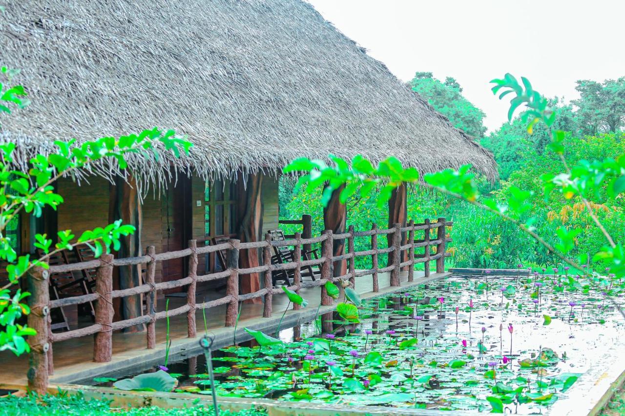 Sigiriya Water Cottage מראה חיצוני תמונה