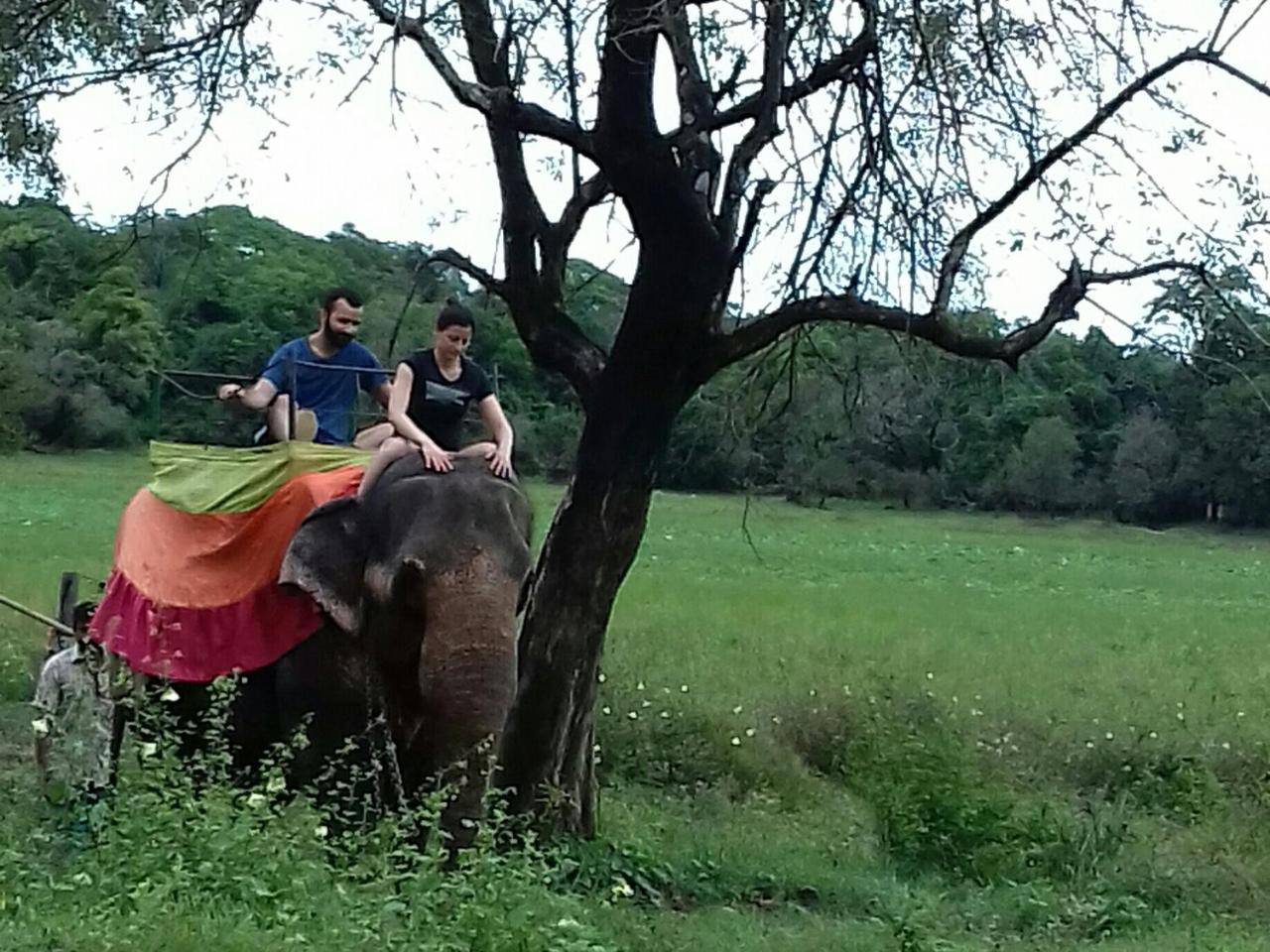 Sigiriya Water Cottage מראה חיצוני תמונה